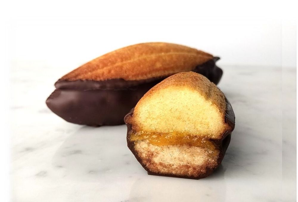 2026년 01월 칼리바우트 세미나