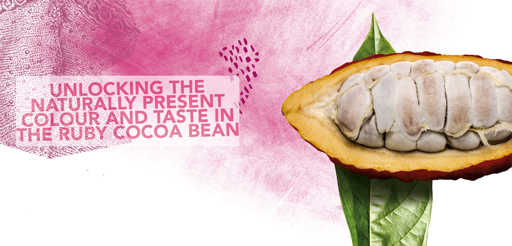 UNLOCKING THE NATURALLY PRESENT COLOUR AND TASTE IN THE RUBY COCOA BEAN